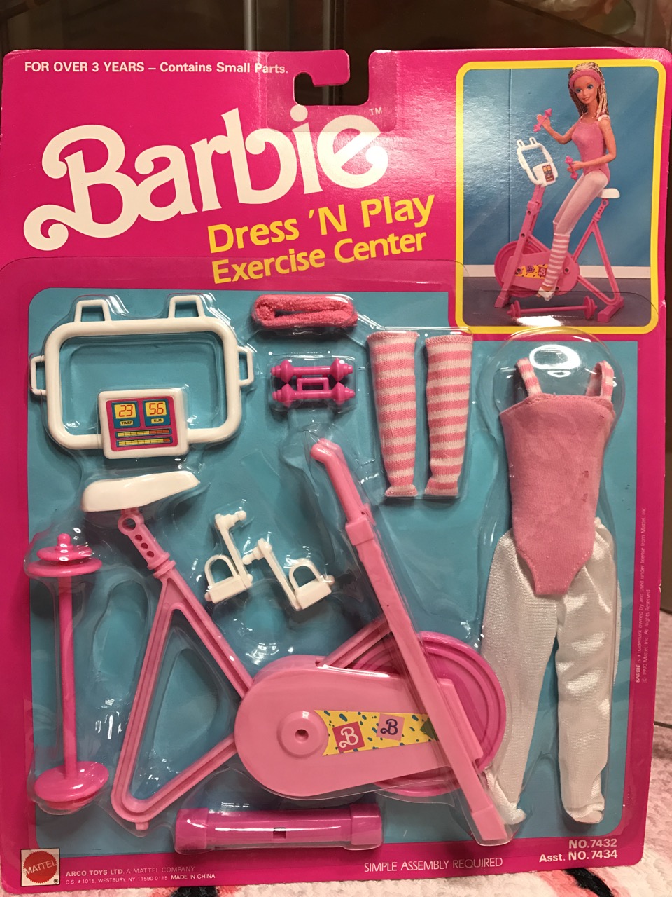 barbie gym set